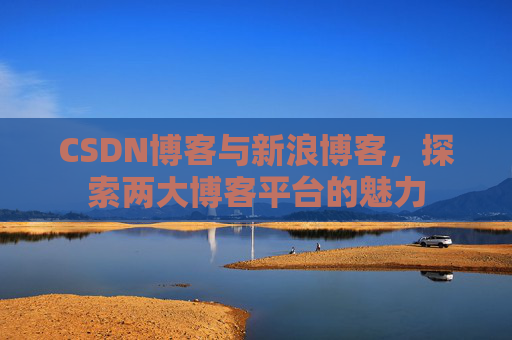 CSDN博客与新浪博客，探索两大博客平台的魅力